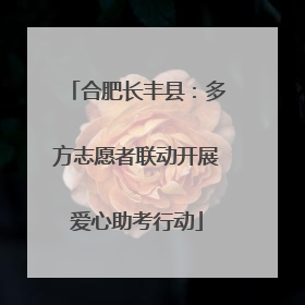 合肥长丰县：多方志愿者联动开展爱心助考行动