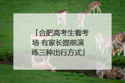合肥高考生看考场 有家长提前演练三种出行方式