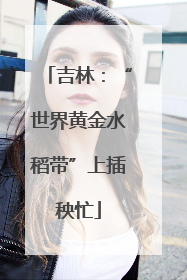 吉林：“世界黄金水稻带”上插秧忙