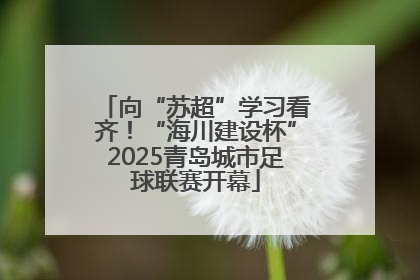 向“苏超”学习看齐！“海川建设杯”2025青岛城市足球联赛开幕