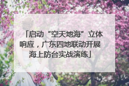 启动“空天地海”立体响应，广东四地联动开展海上防台实战演练
