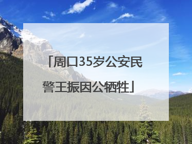 周口35岁公安民警王振因公牺牲