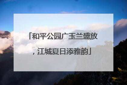 和平公园广玉兰盛放，江城夏日添雅韵
