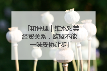 和评理｜维系对美经贸关系，欧盟不能一味妥协让步