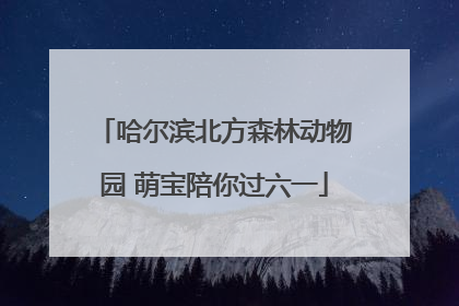 哈尔滨北方森林动物园 萌宝陪你过六一