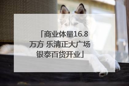 商业体量16.8万方 乐清正大广场银泰百货开业