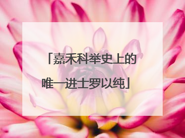 嘉禾科举史上的唯一进士罗以纯