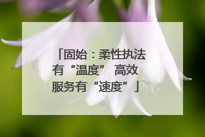 固始：柔性执法有“温度” 高效服务有“速度”