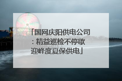 国网庆阳供电公司：精益巡检不停歇 迎峰度夏保供电