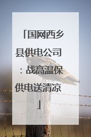 国网西乡县供电公司：战高温保供电送清凉