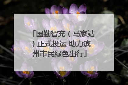 国勤智充（马家站）正式投运 助力滨州市民绿色出行