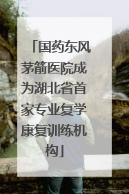 国药东风茅箭医院成为湖北省首家专业复学康复训练机构