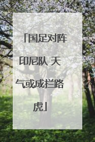 国足对阵印尼队 天气或成拦路虎