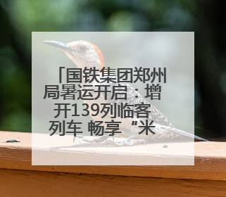 国铁集团郑州局暑运开启：增开139列临客列车 畅享“米”字形高铁出行圈