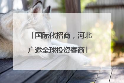国际化招商，河北广邀全球投资客商