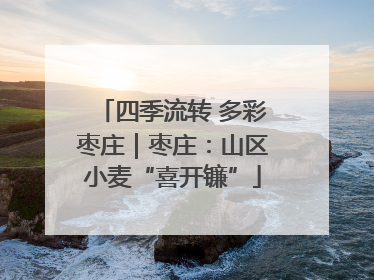 四季流转 多彩枣庄｜枣庄：山区小麦“喜开镰”