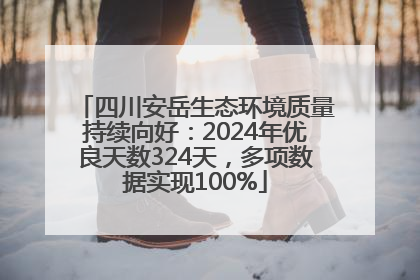 四川安岳生态环境质量持续向好：2024年优良天数324天，多项数据实现100%