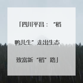 四川平昌：“稻鸭共生”走出生态致富新“稻”路