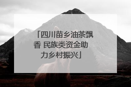 四川苗乡油茶飘香 民族类资金助力乡村振兴