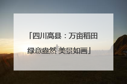四川高县：万亩稻田绿意盎然 美景如画