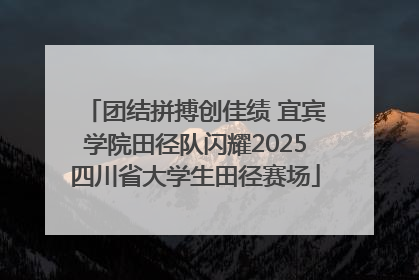 团结拼搏创佳绩 宜宾学院田径队闪耀2025四川省大学生田径赛场