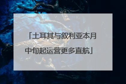 土耳其与叙利亚本月中旬起运营更多直航