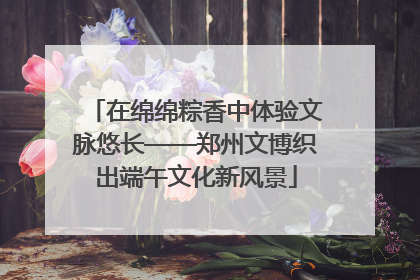 在绵绵粽香中体验文脉悠长——郑州文博织出端午文化新风景