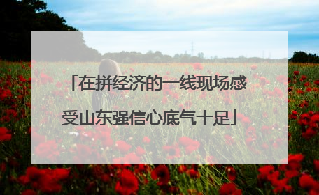 在拼经济的一线现场感受山东强信心底气十足
