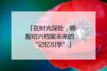 在时光深处，唤醒绍兴档案未来的“记忆引擎”