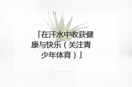 在汗水中收获健康与快乐（关注青少年体育）