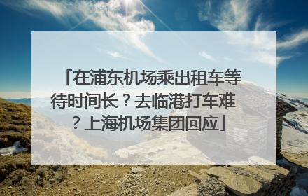 在浦东机场乘出租车等待时间长？去临港打车难？上海机场集团回应