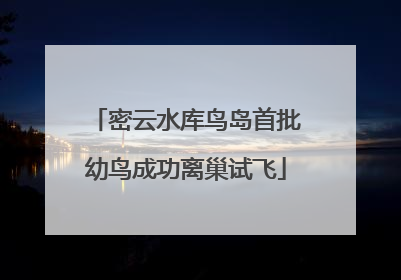 密云水库鸟岛首批幼鸟成功离巢试飞