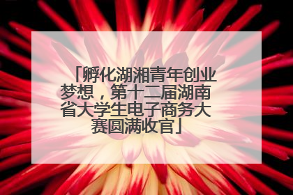 孵化湖湘青年创业梦想，第十二届湖南省大学生电子商务大赛圆满收官
