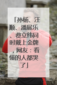 孙杨、汪顺、潘展乐、费立纬同时戴上金牌，网友：看懂的人都哭了