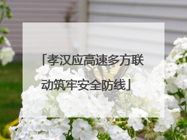 孝汉应高速多方联动筑牢安全防线