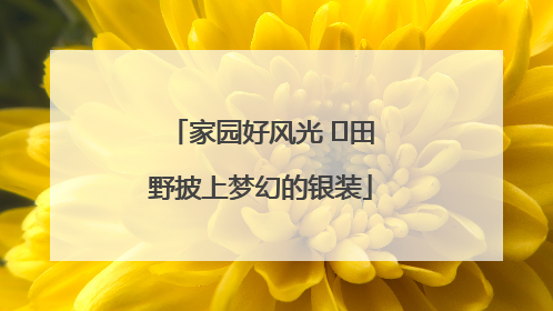 家园好风光 ⎮田野披上梦幻的银装