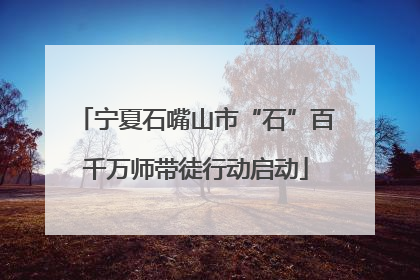 宁夏石嘴山市“石”百千万师带徒行动启动