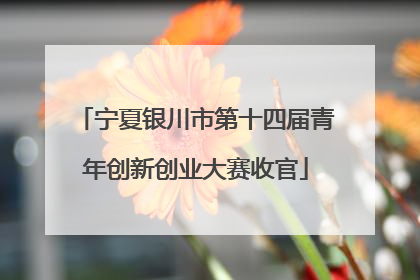 宁夏银川市第十四届青年创新创业大赛收官