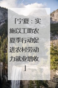 宁夏：实施以工助农夏季行动促进农村劳动力就业增收