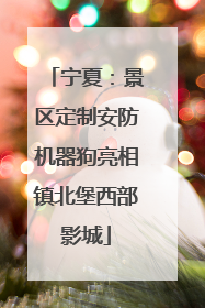 宁夏：景区定制安防机器狗亮相镇北堡西部影城
