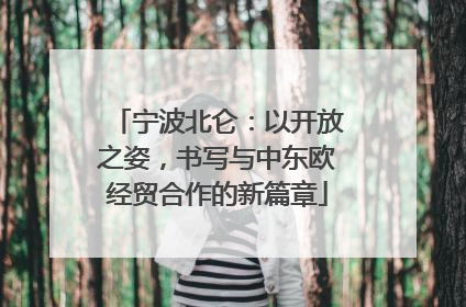宁波北仑：以开放之姿，书写与中东欧经贸合作的新篇章