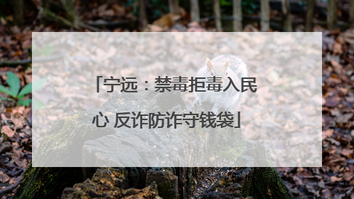 宁远：禁毒拒毒入民心 反诈防诈守钱袋
