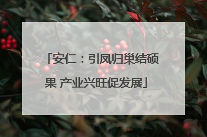 安仁：引凤归巢结硕果 产业兴旺促发展