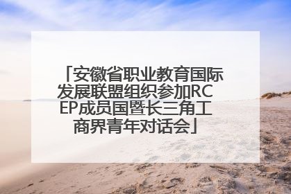 安徽省职业教育国际发展联盟组织参加RCEP成员国暨长三角工商界青年对话会