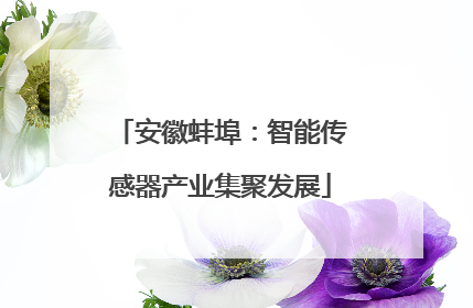 安徽蚌埠：智能传感器产业集聚发展