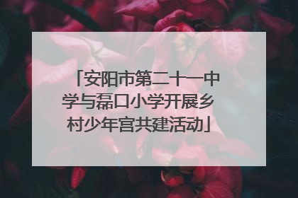 安阳市第二十一中学与磊口小学开展乡村少年宫共建活动