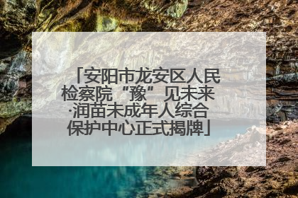 安阳市龙安区人民检察院“豫”见未来·润苗未成年人综合保护中心正式揭牌
