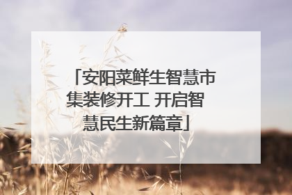 安阳菜鲜生智慧市集装修开工 开启智慧民生新篇章