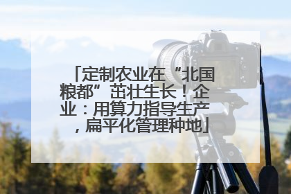 定制农业在“北国粮都”茁壮生长！企业：用算力指导生产，扁平化管理种地