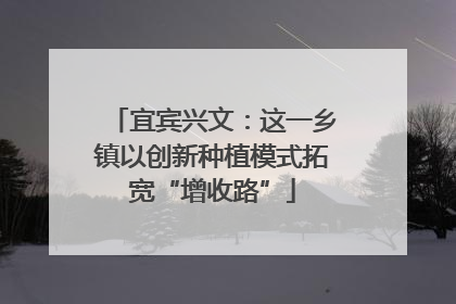 宜宾兴文：这一乡镇以创新种植模式拓宽“增收路”